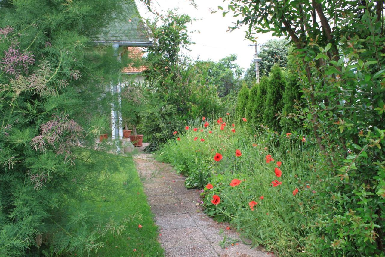 Boulevard Garden House - Free And Save Parking In The Locked Yard Ćuprija Exteriör bild